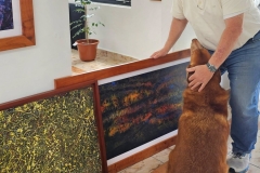 Frank Amundaray